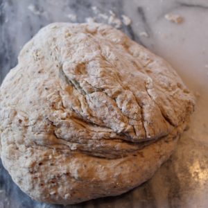 bread dough ready to rise