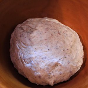 bread dough in bowl