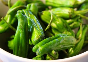 bowl of shishito peppers